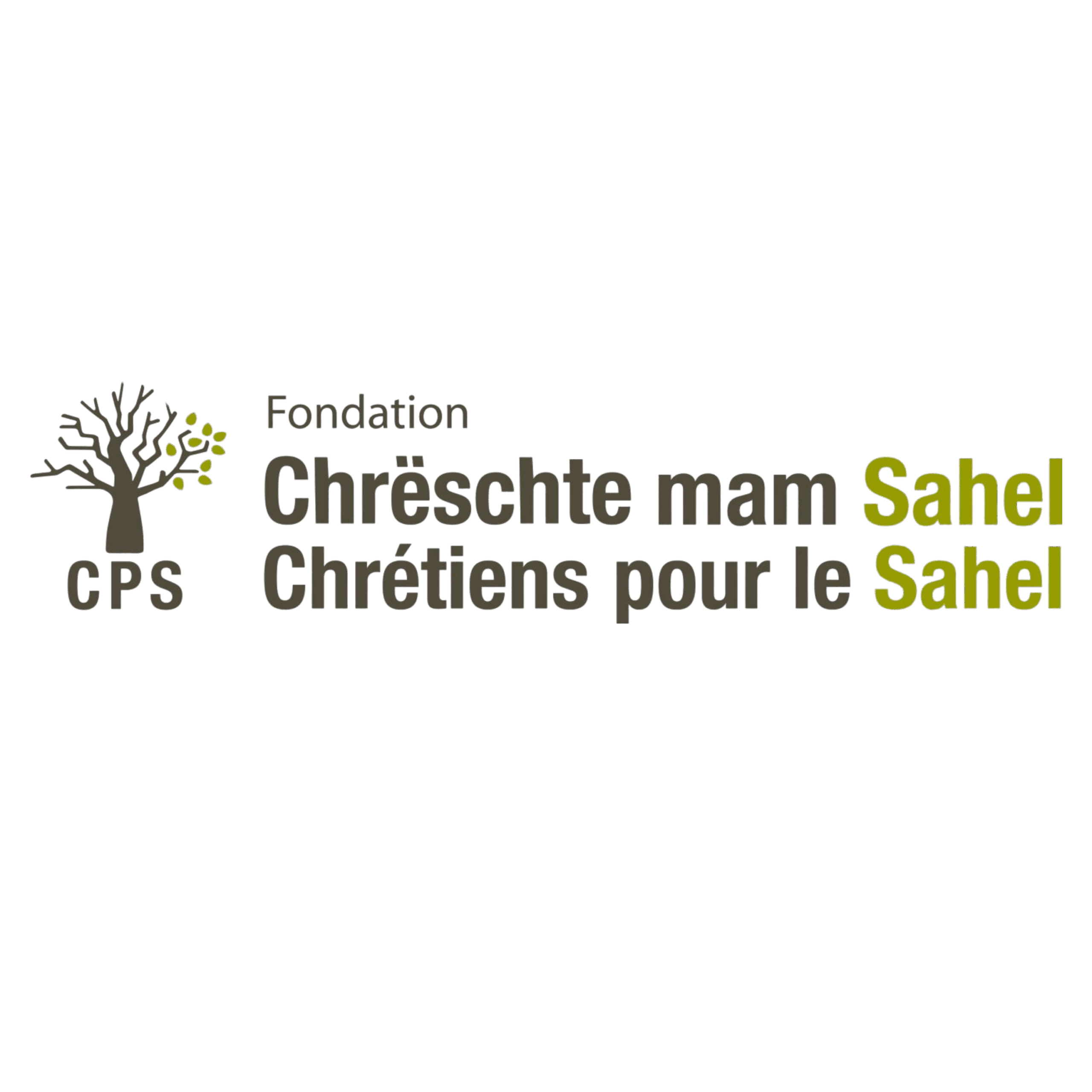 Fondation Chrétiens pour le Sahel