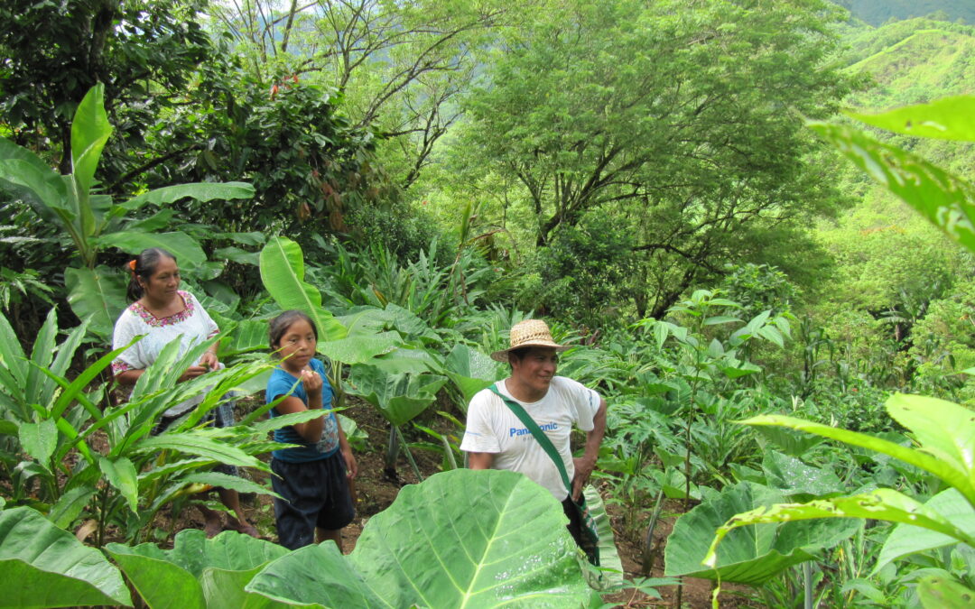 Guatemala