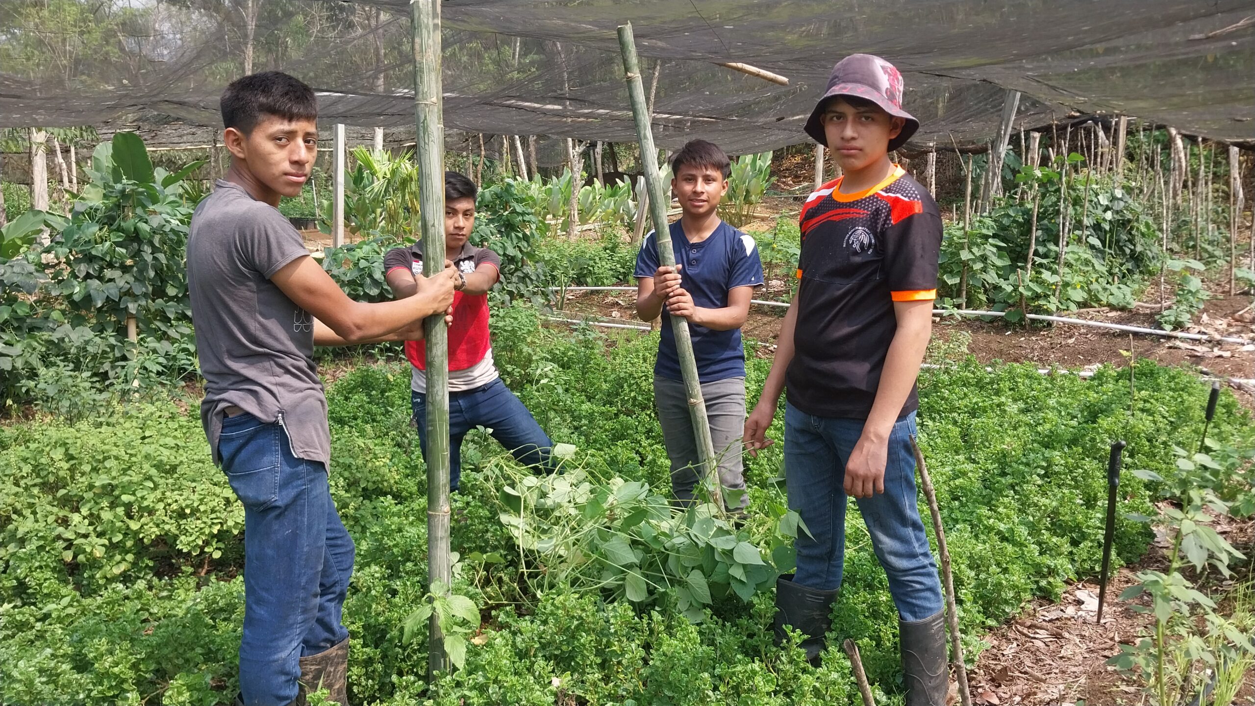 Guatemala 